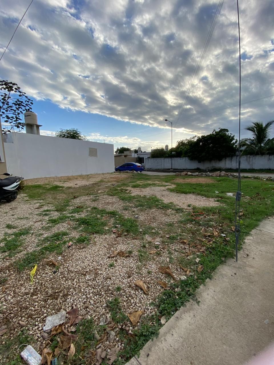 3 de 16