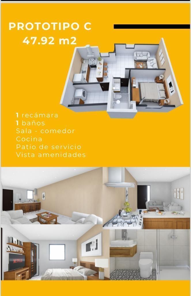 5 de 11