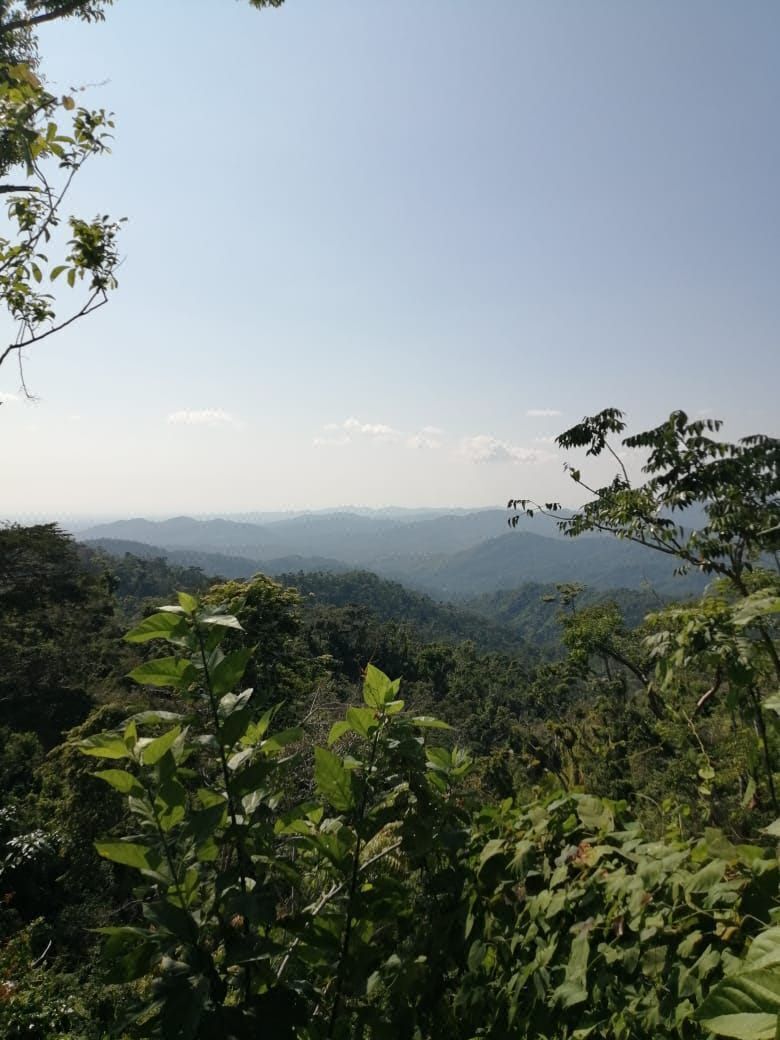 Terreno en Venta en Pluma Hidalgo