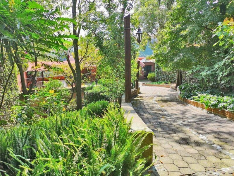 3 de 45: Entrada de la casa