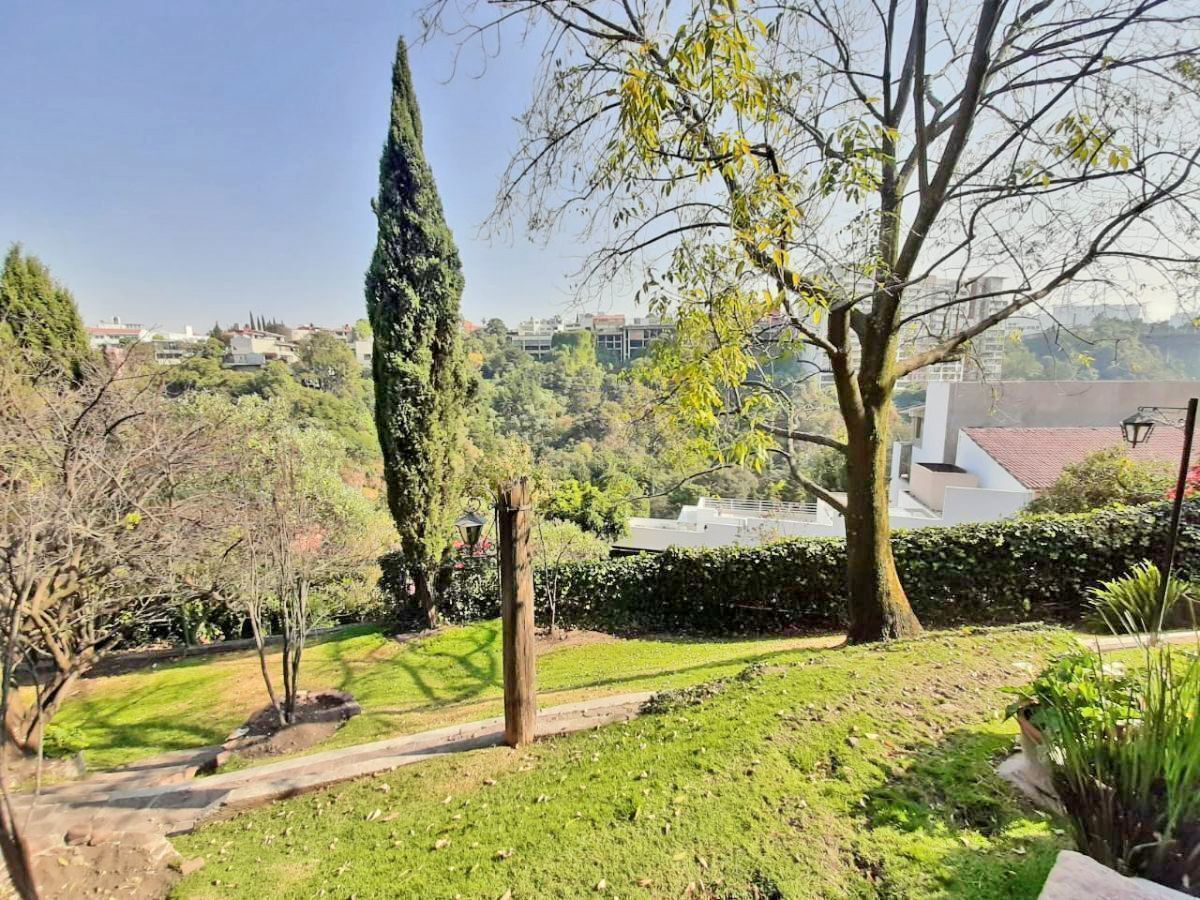 37 de 45: Hermosos jardines