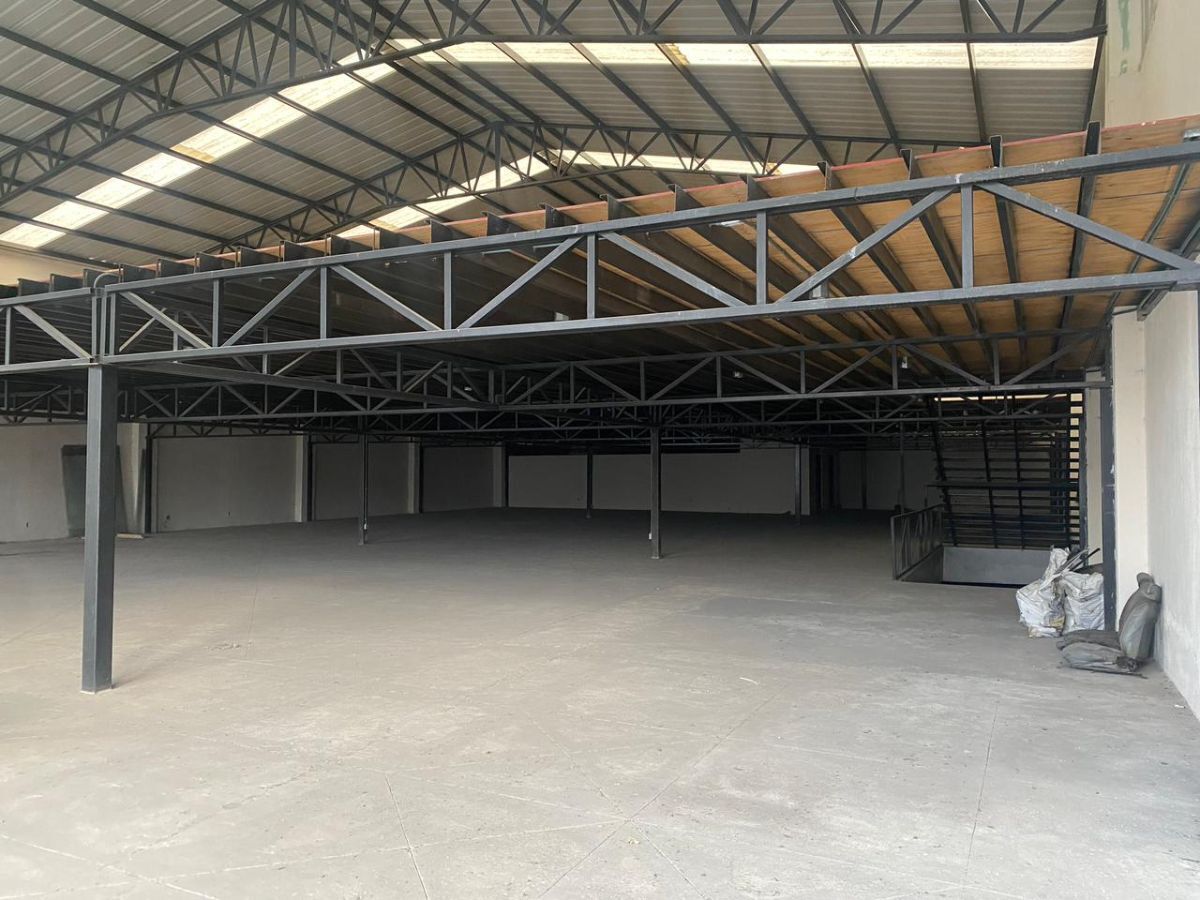 6 of 24: planta baja y con tapanco