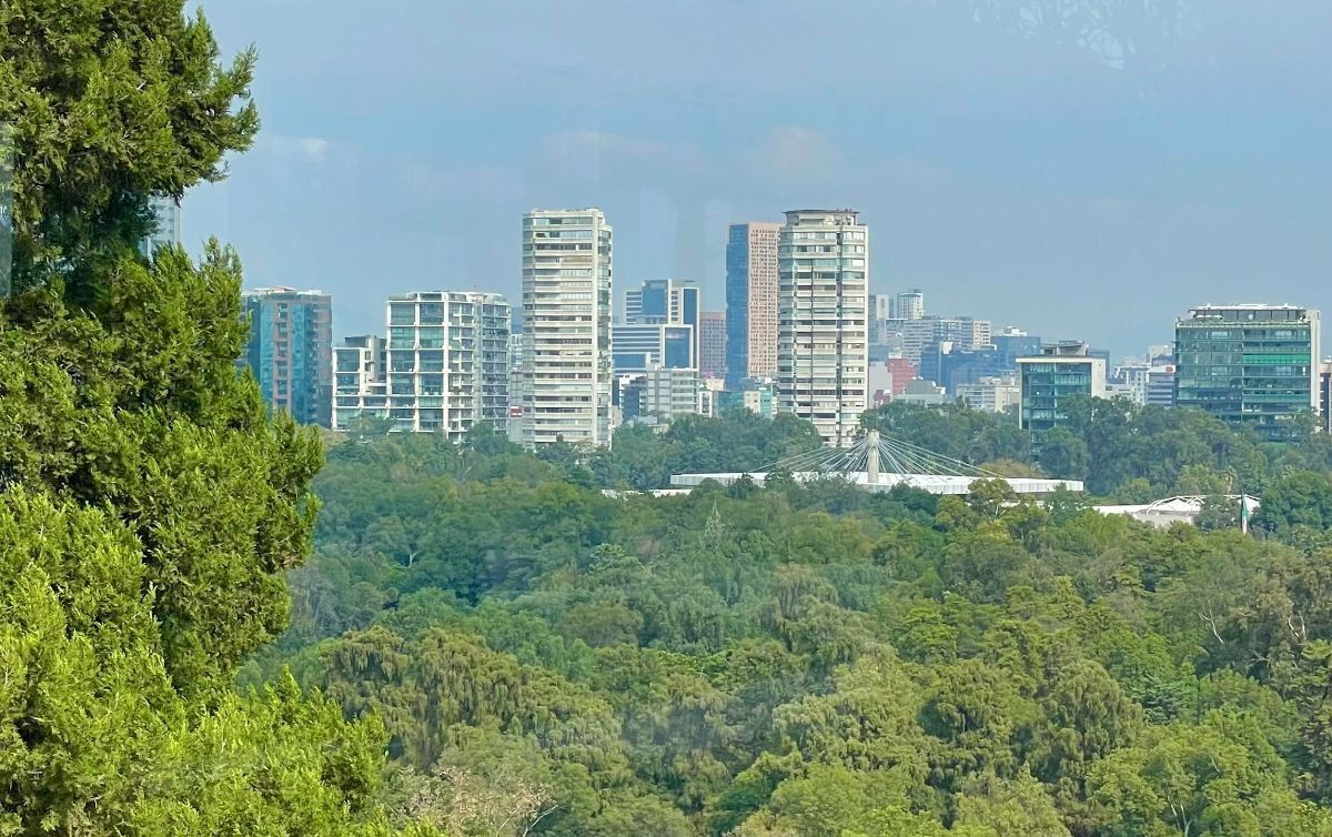 1 of 31: Vista Bosque