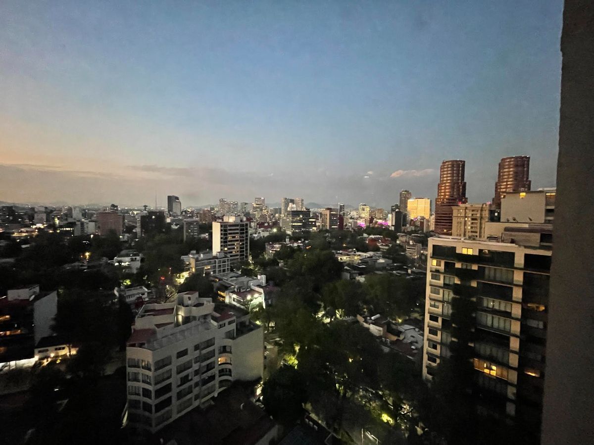 4 of 31: Vista polanco