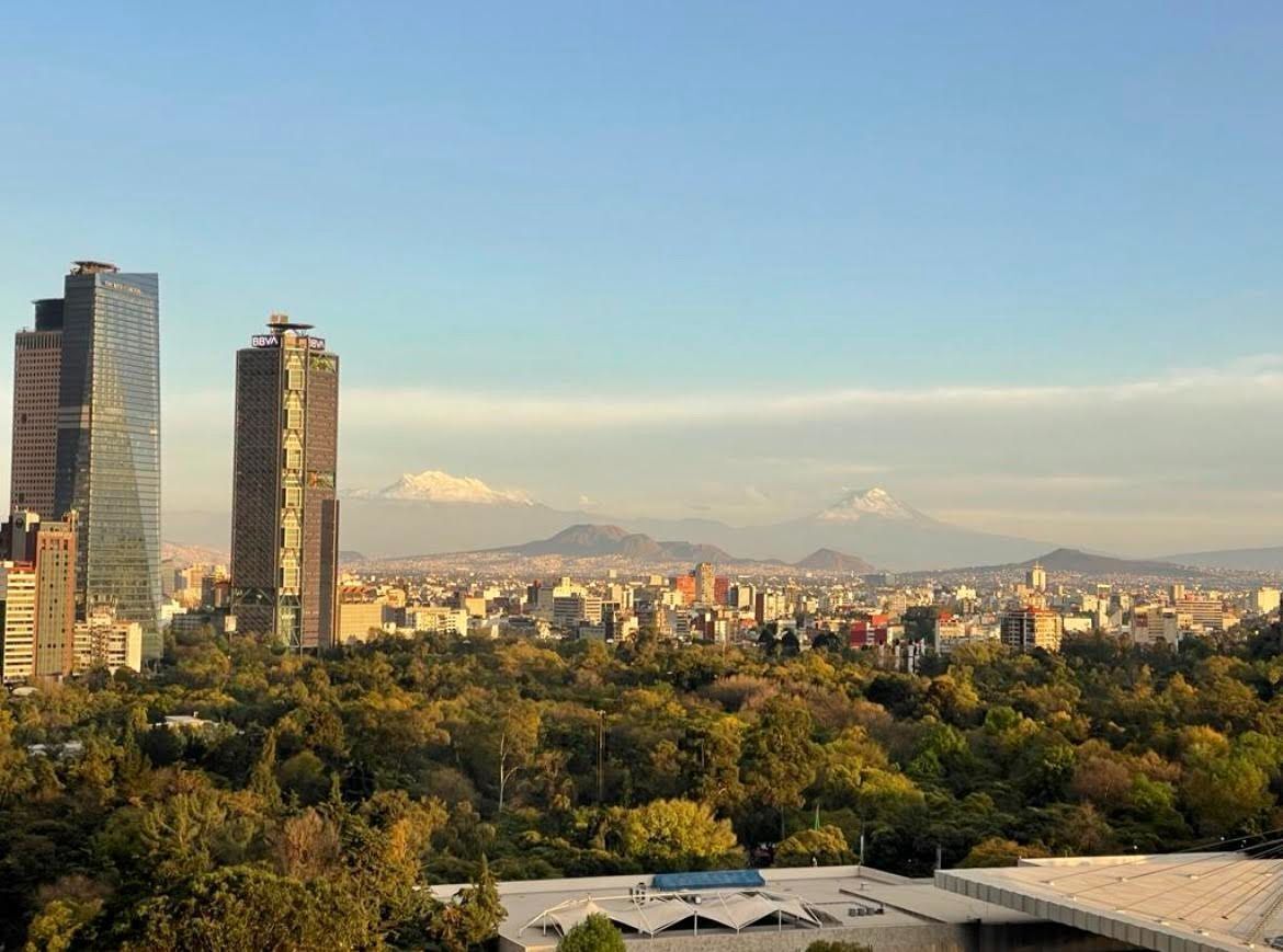3 of 31: Vista Bosque / museo