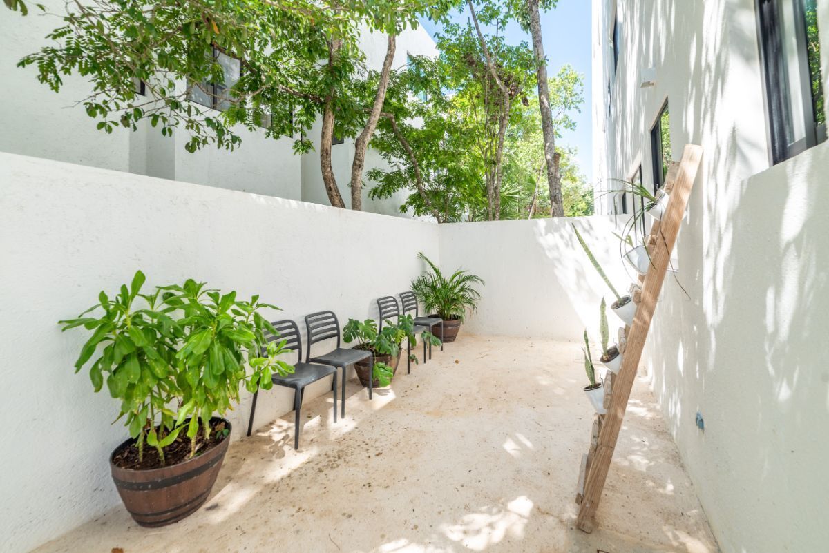 23 of 50: Terraza con alberca (Planta Baja)