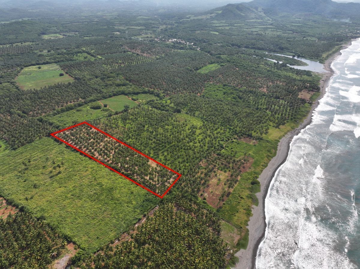 Parcela en Los Llanos Saladita Zihuatanejo