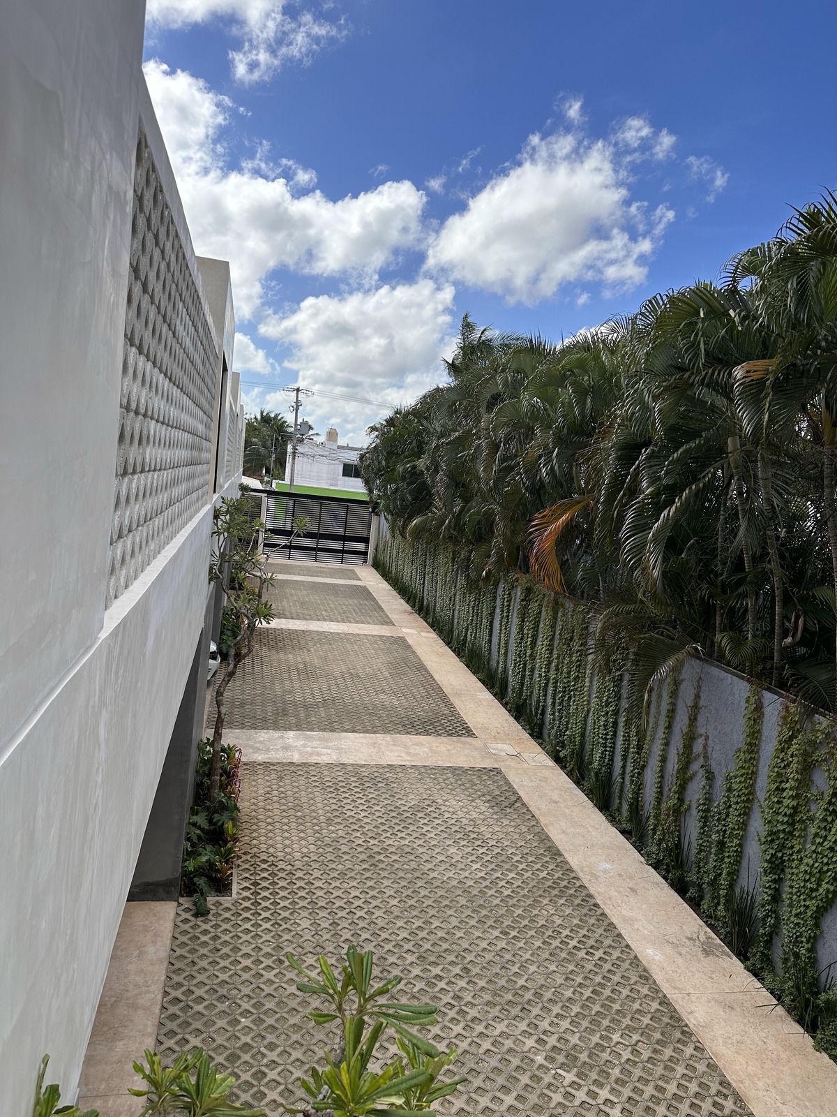 18 de 50