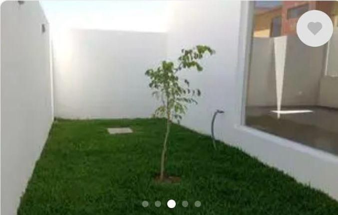 24 de 26