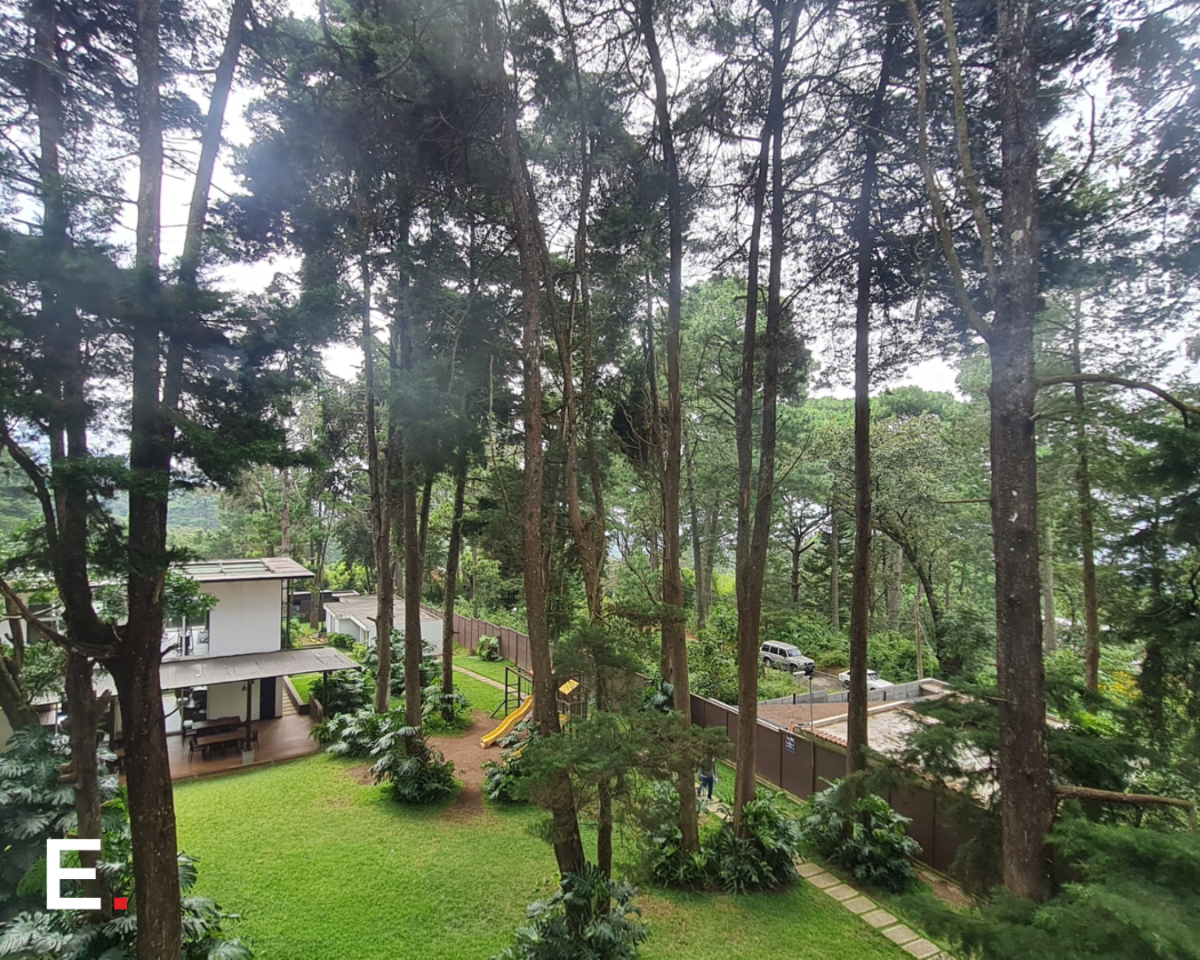 1 de 10