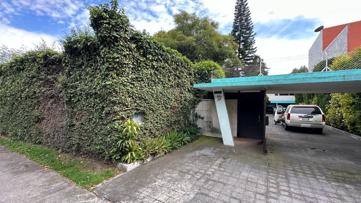 19 de 50