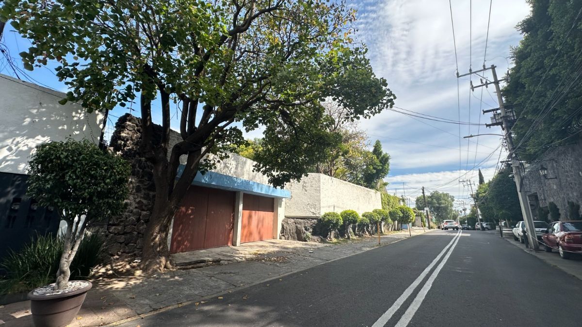 10 de 50