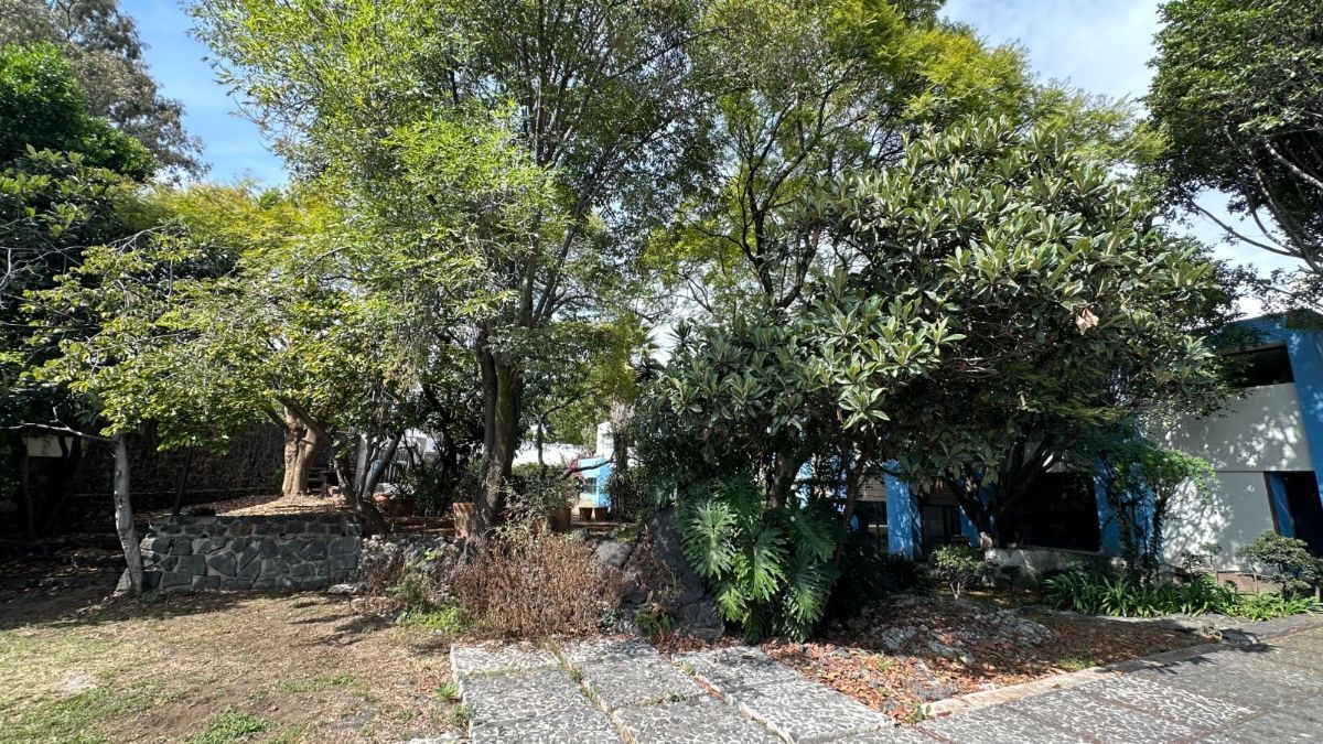 26 de 50
