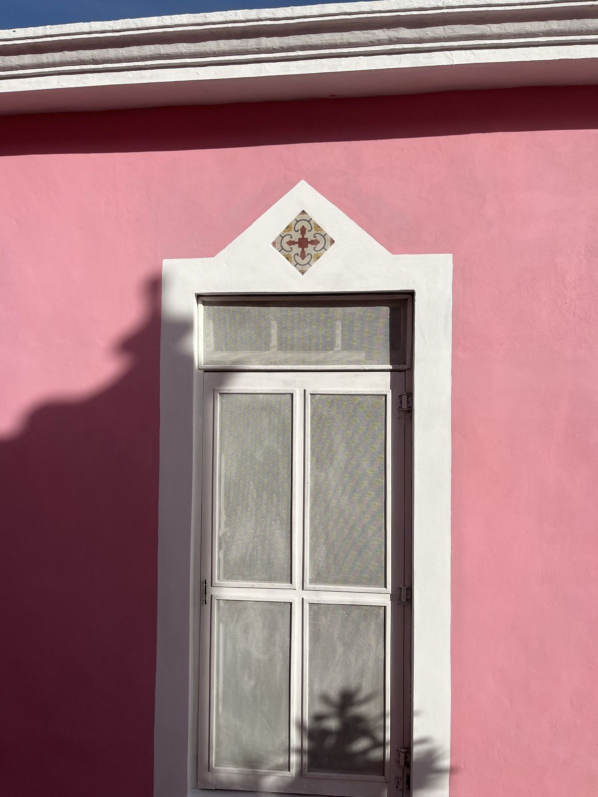3 de 50