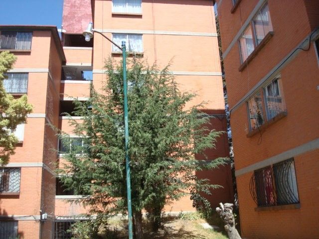 1 de 7