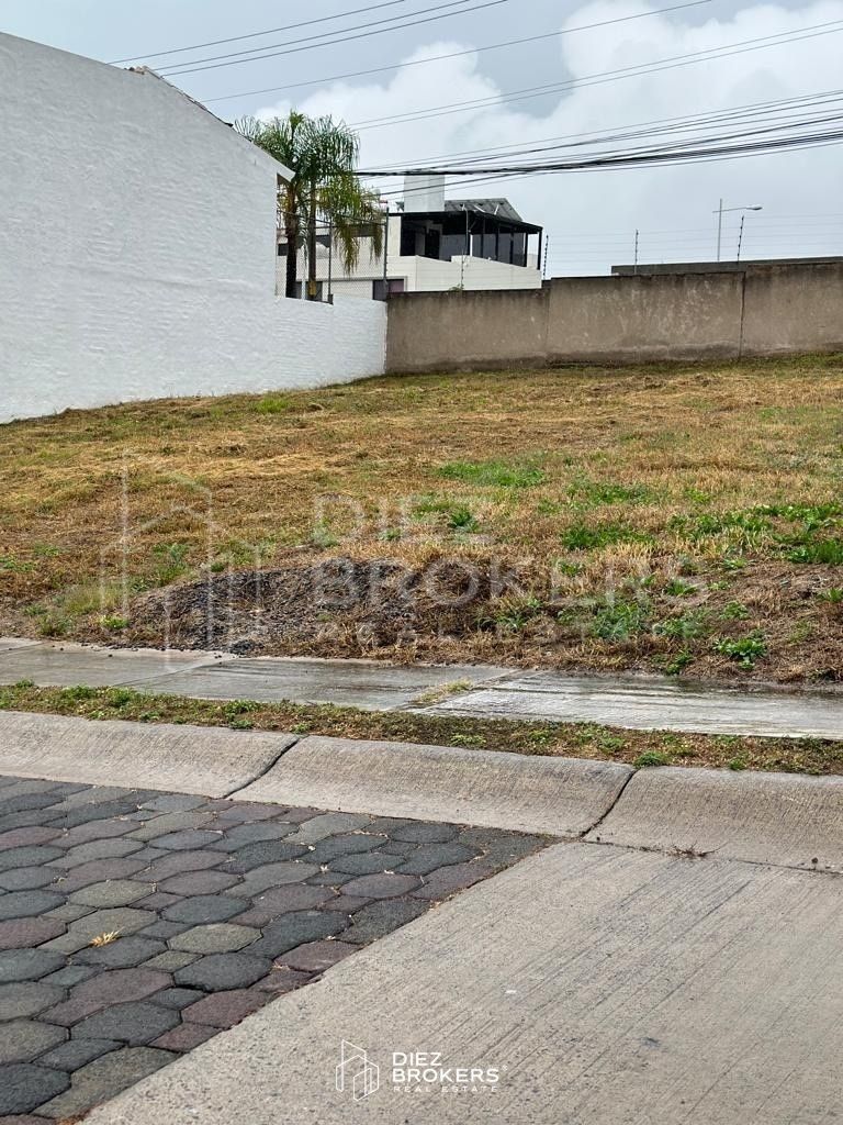 Terreno en Venta - Bosques de Santa Anita Tlajomulco - foto 3