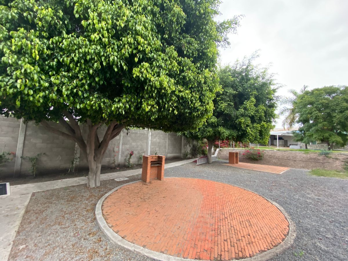 Area de asadores al aire libre en zona arbolada.