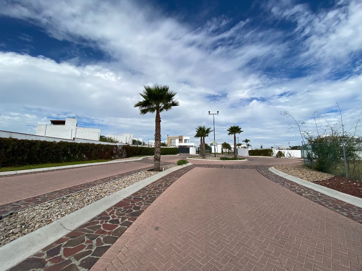 15 de 17: Avenida Principal con andadores .