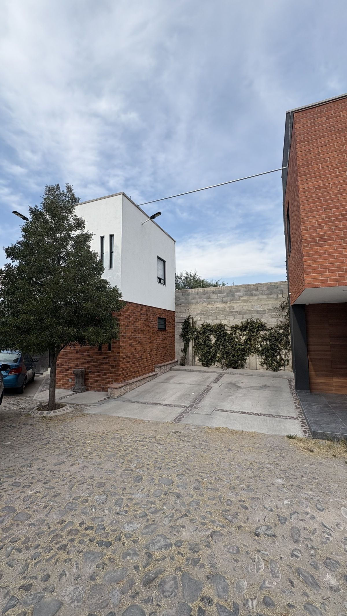 3 de 12