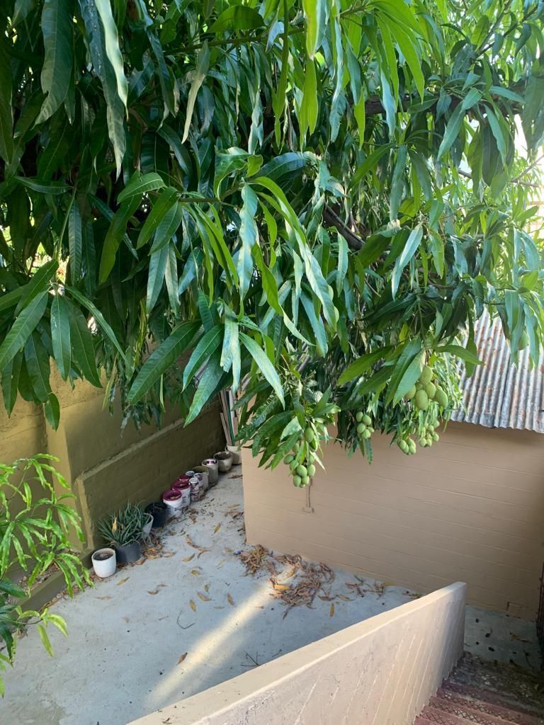 Apartamento en Don Bosco, Santo Domingo Centro (Distrito Nacional), foto 19 de 19