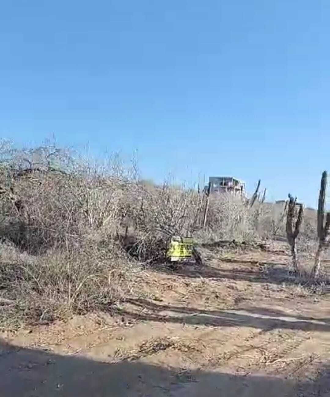 7 de 10