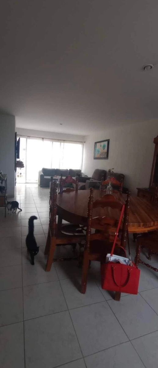 Casa en Alcazar Residencial, Jesús María, foto 9 de 14
