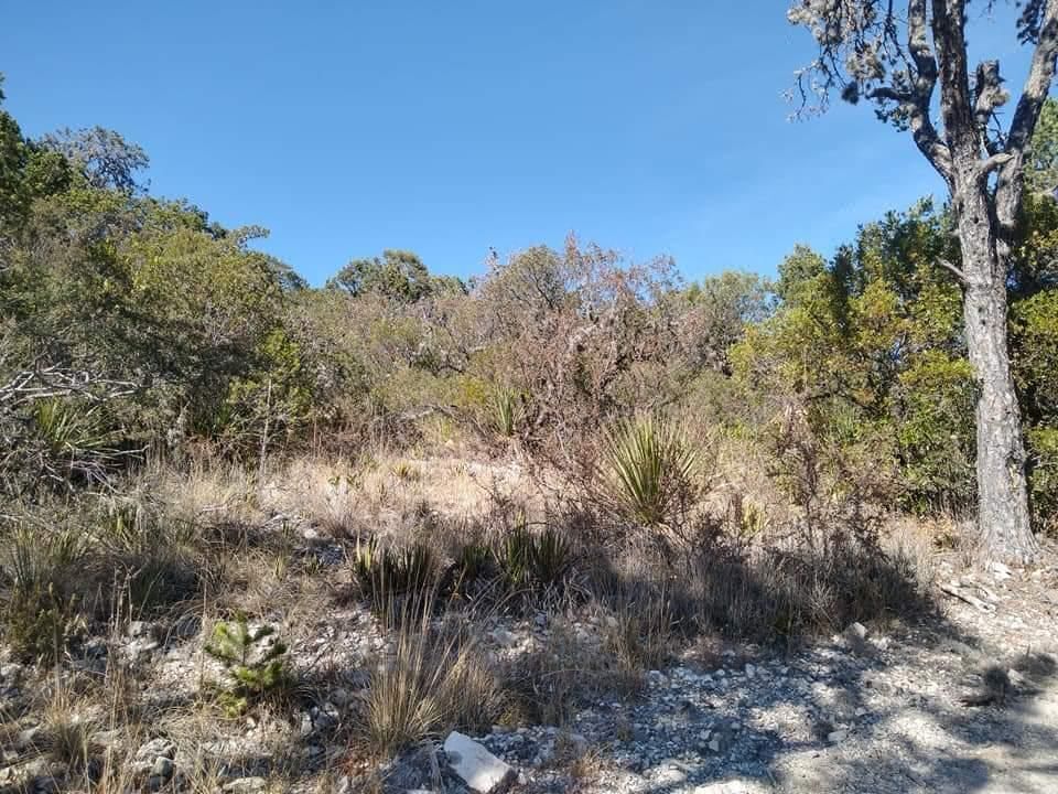 Terreno Campestre en VENTA en Fracc. Sierra Escondida.