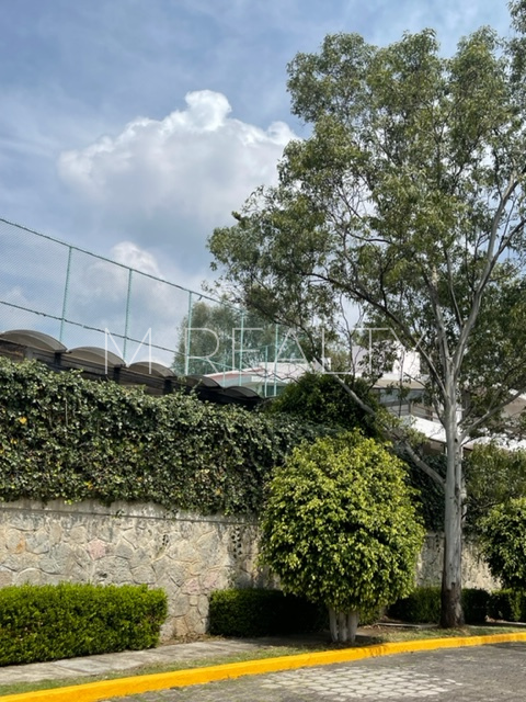 4 de 13