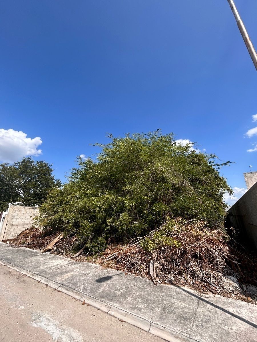Lot in La Rejoyada, Mérida, photo 19 of 19
