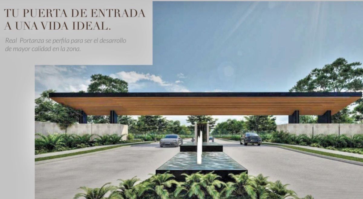 5 de 12