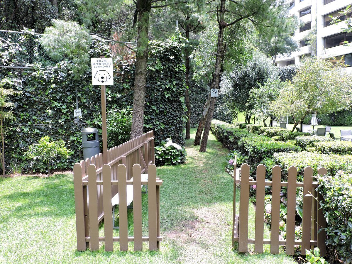 16 de 27