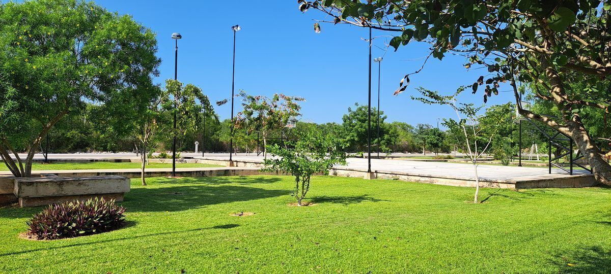 Terreno en Sierra Papacal, Mérida, foto 7 de 34