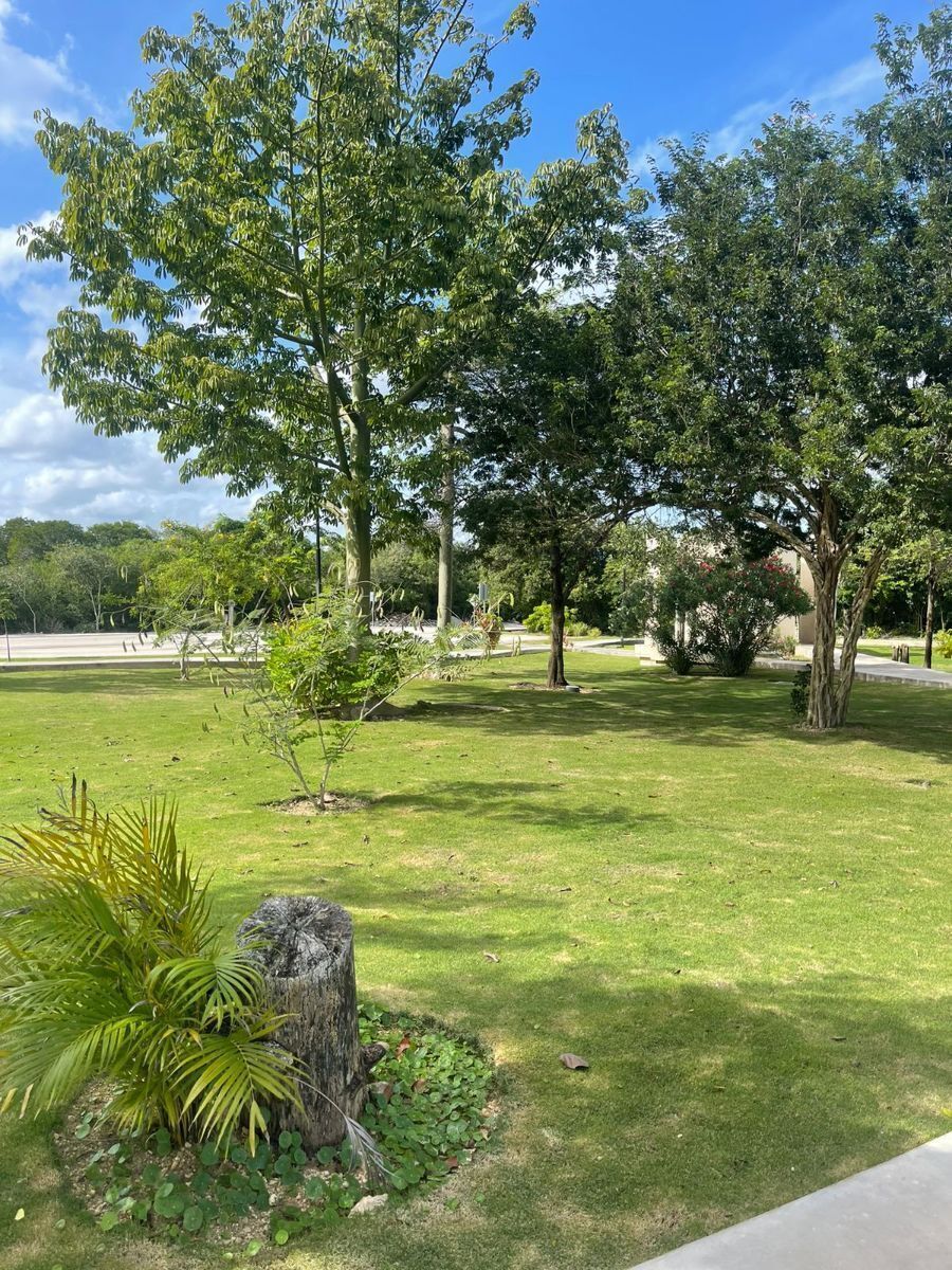 Terreno en Sierra Papacal, Mérida, foto 17 de 34