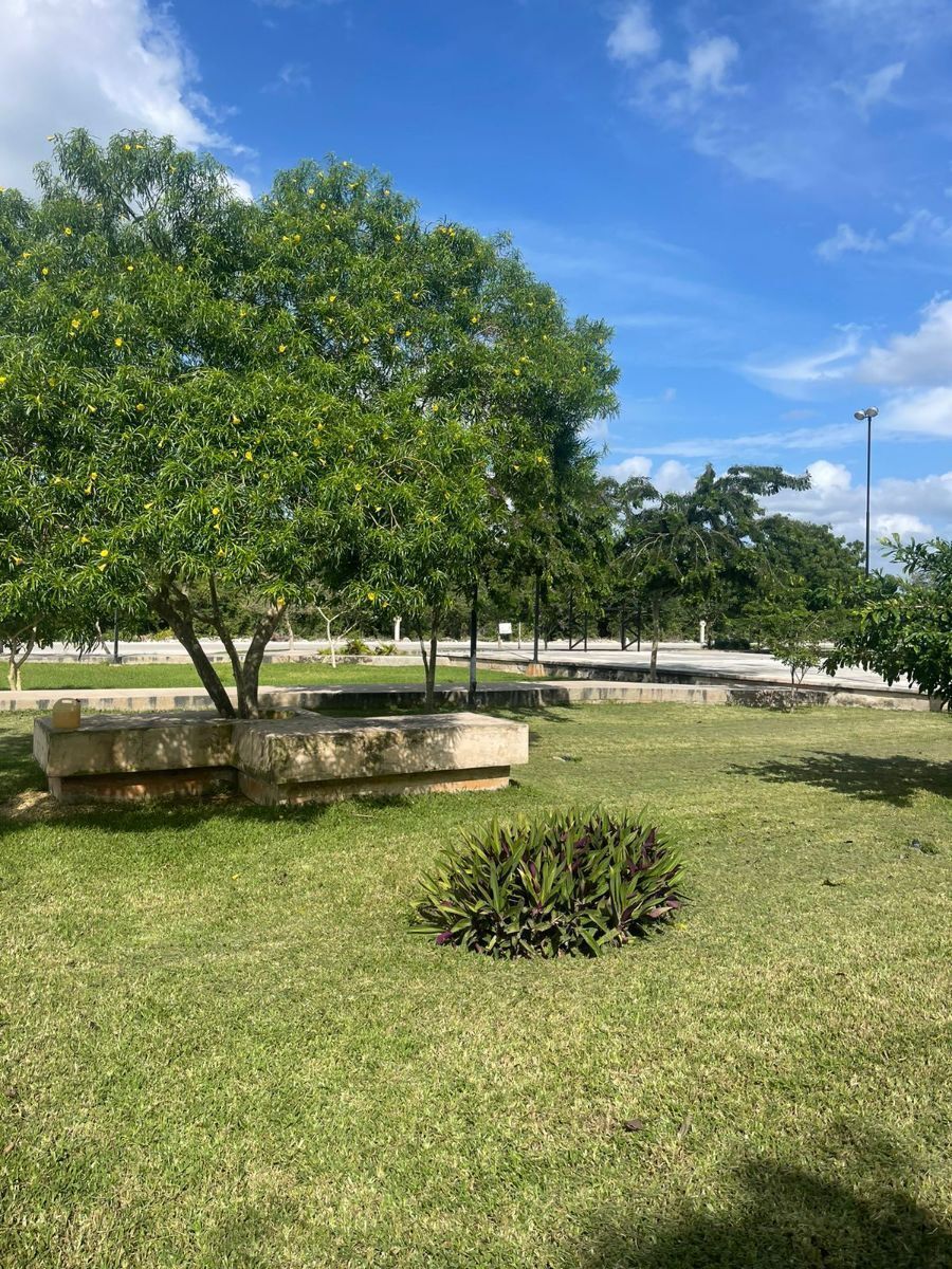 Terreno en Sierra Papacal, Mérida, foto 33 de 34