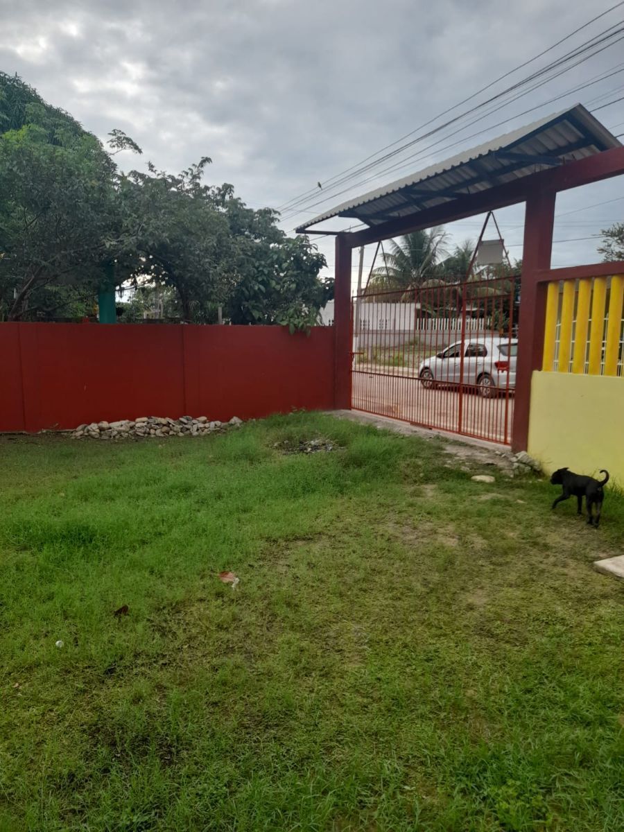 3 de 8