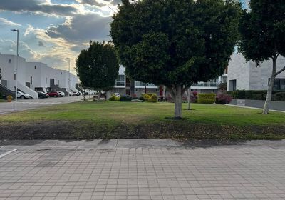 20 de 23