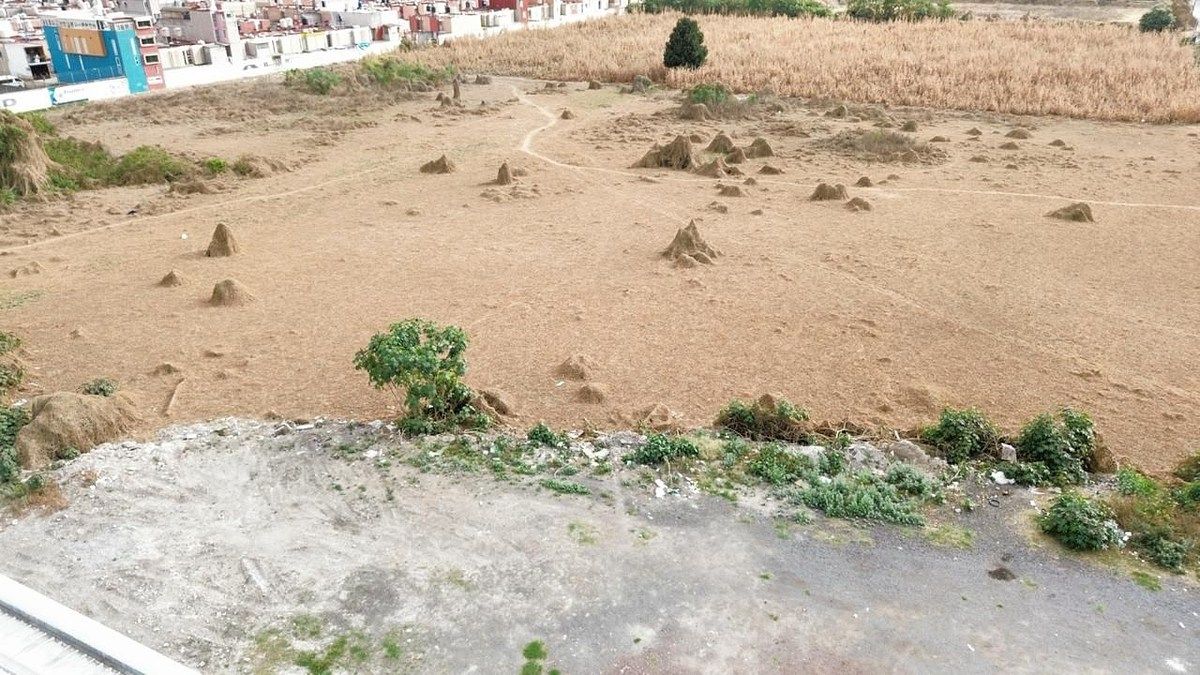 Terreno industrial en San Francisco Coacalco (Cabecera Municipal), Coacalco de Berriozábal, foto 3 de 7