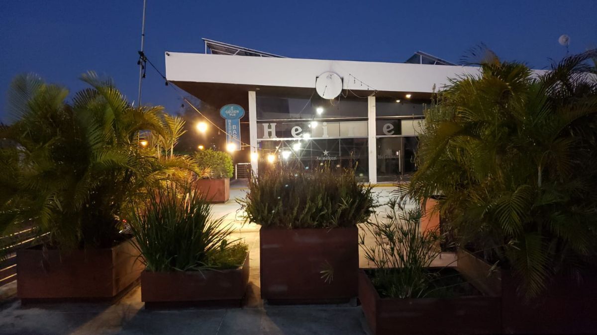 12 de 14