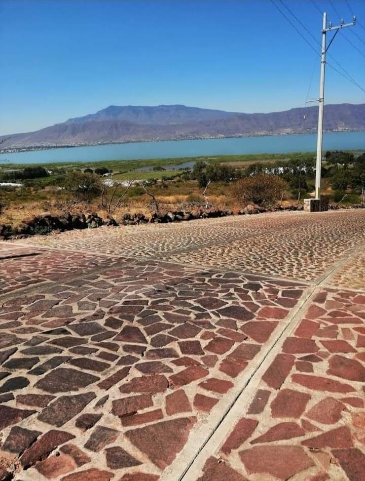 1 de 6