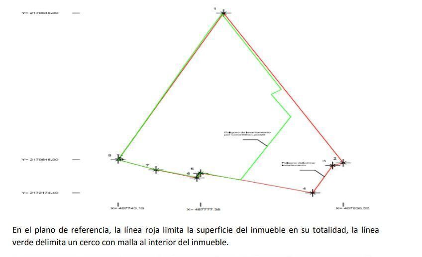 Imagen 3 de 6