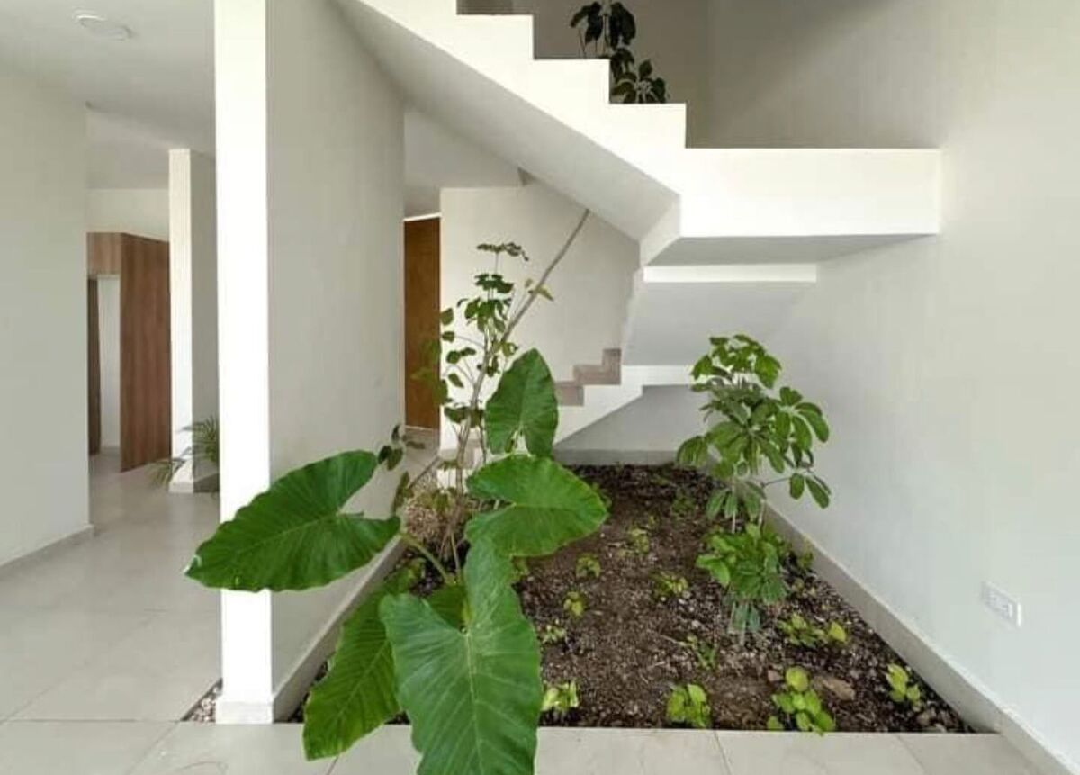 36 de 44