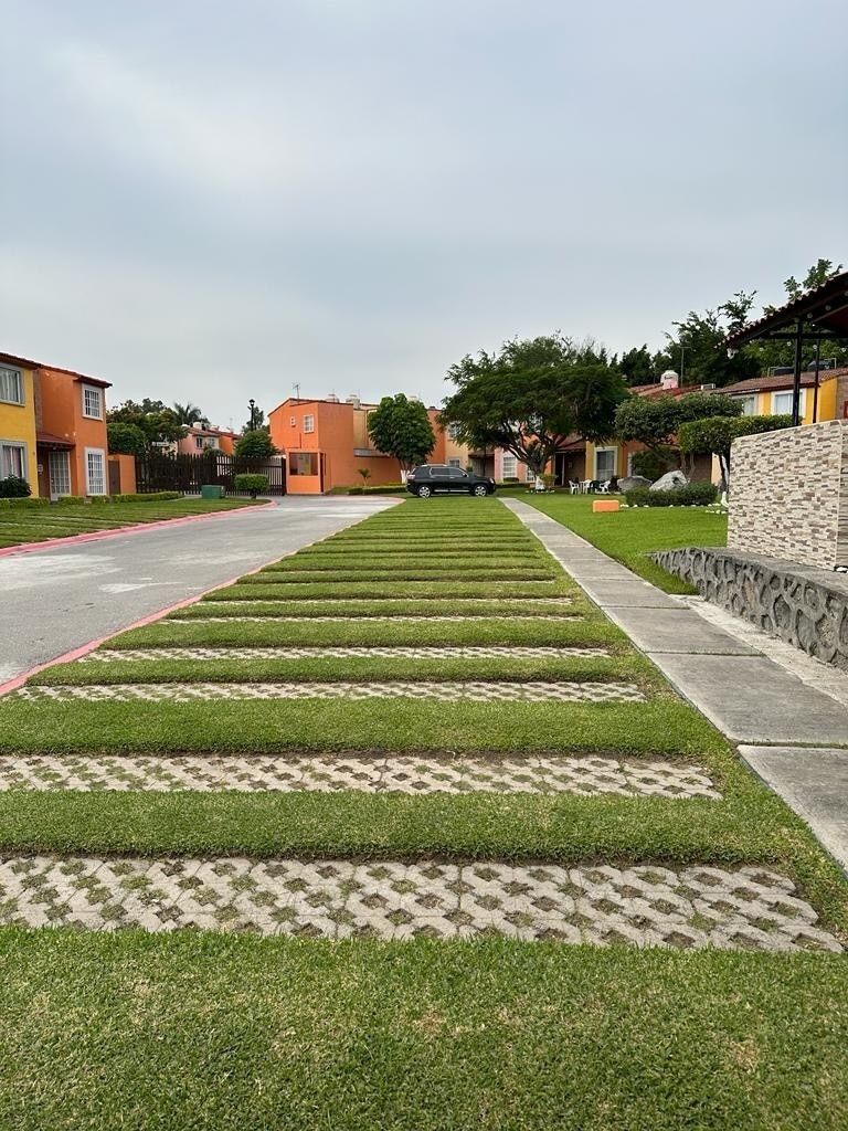 5 de 10