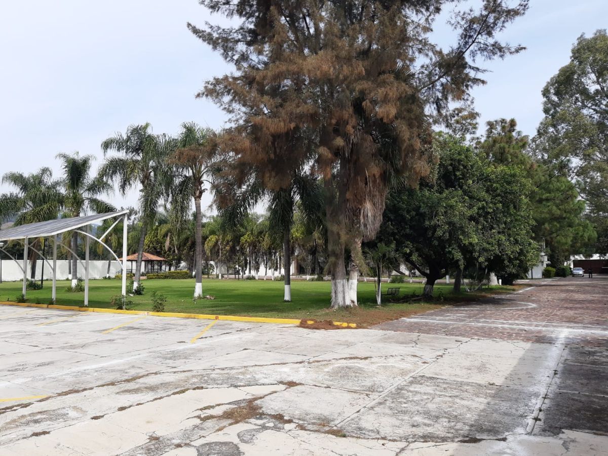 Imagen 3 de 9