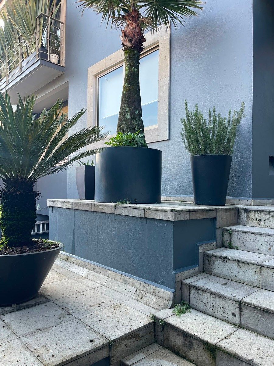 House in Paseo de las Lomas, Álvaro Obregón, photo 25 of 26