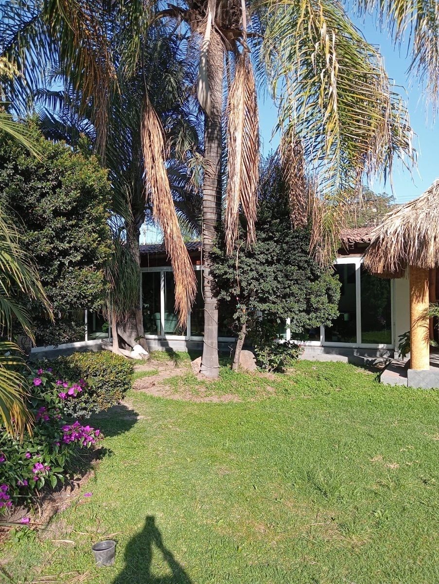 5 de 20