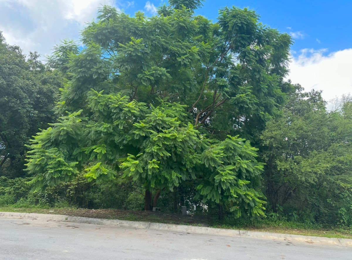 9 de 11