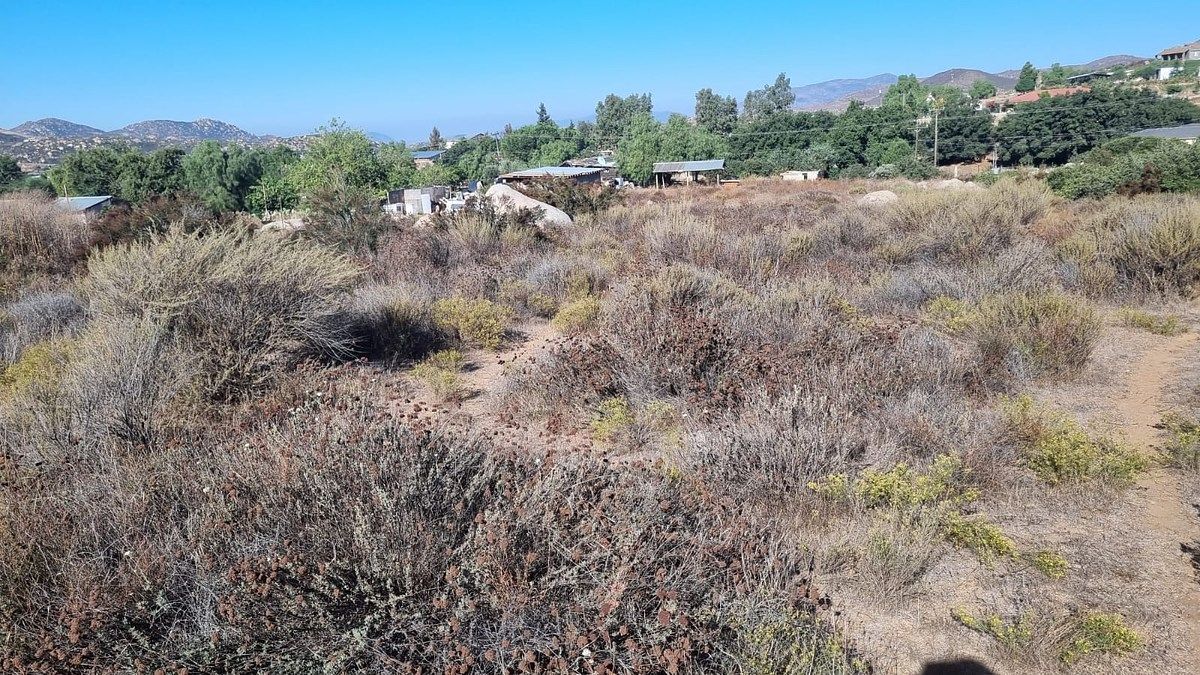 Lot in Nueva Hindú Sección Cerro Azul, Tecate, photo 7 of 8