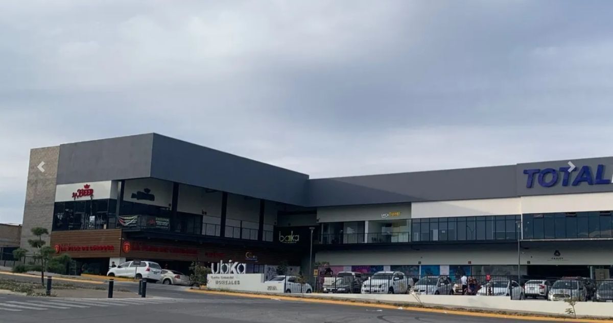 5 de 8