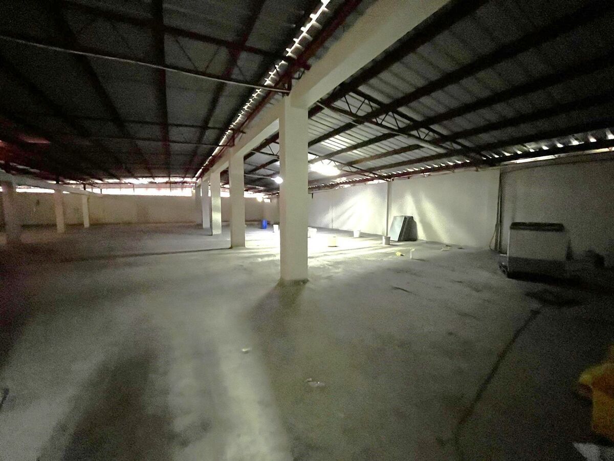 3 de 6