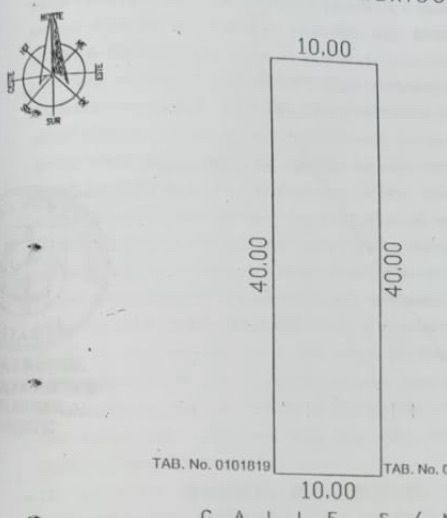 5 de 10